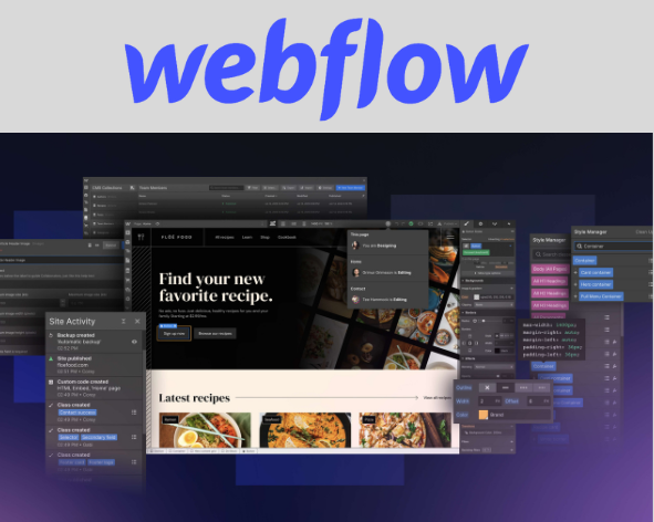 Webflow – Best for Full Design Control